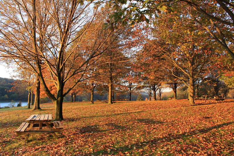 Moraine State Park