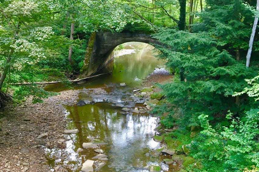 creek under bridge