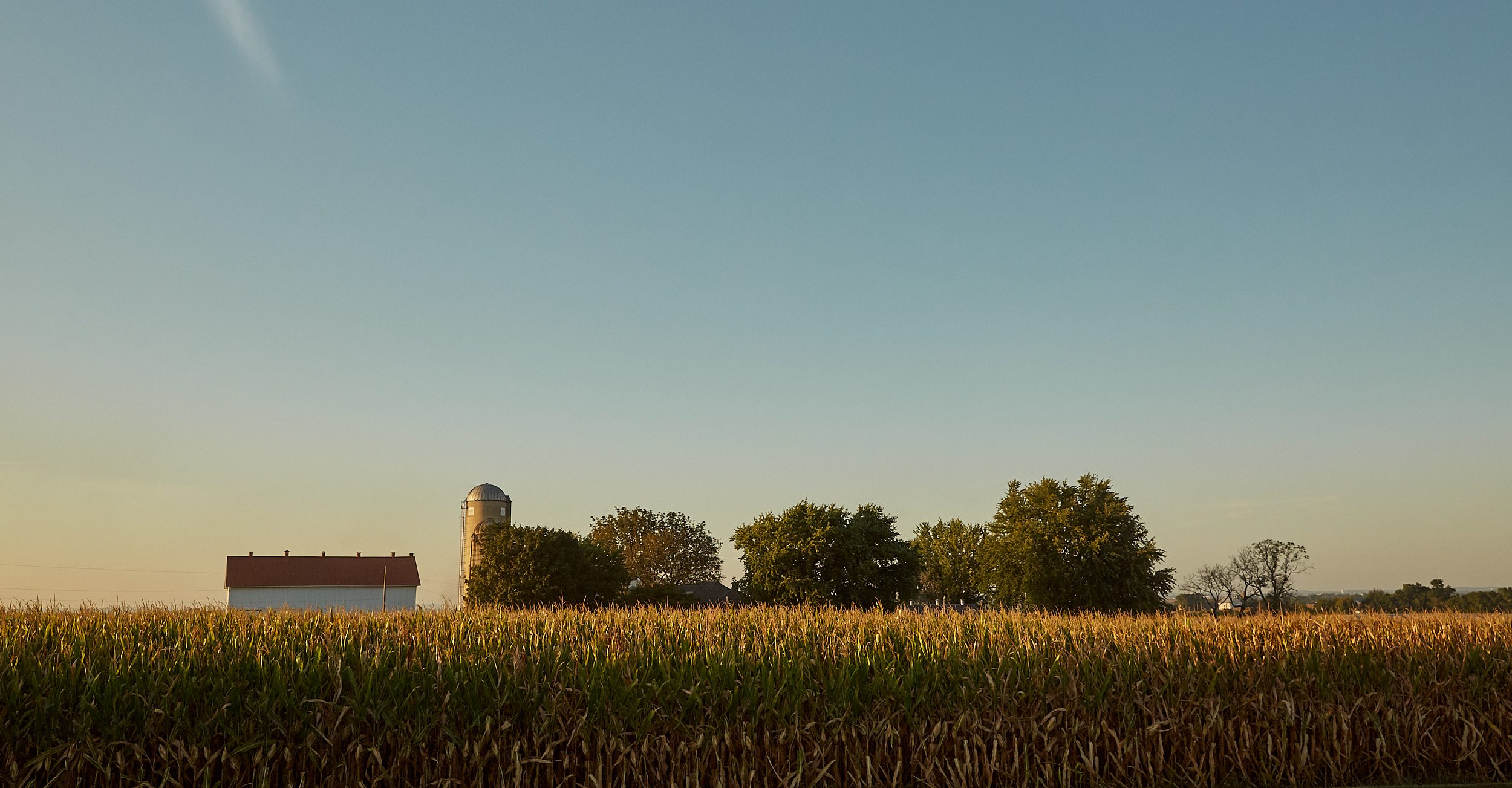 Some wheat fields and a farmhouse on the horizon