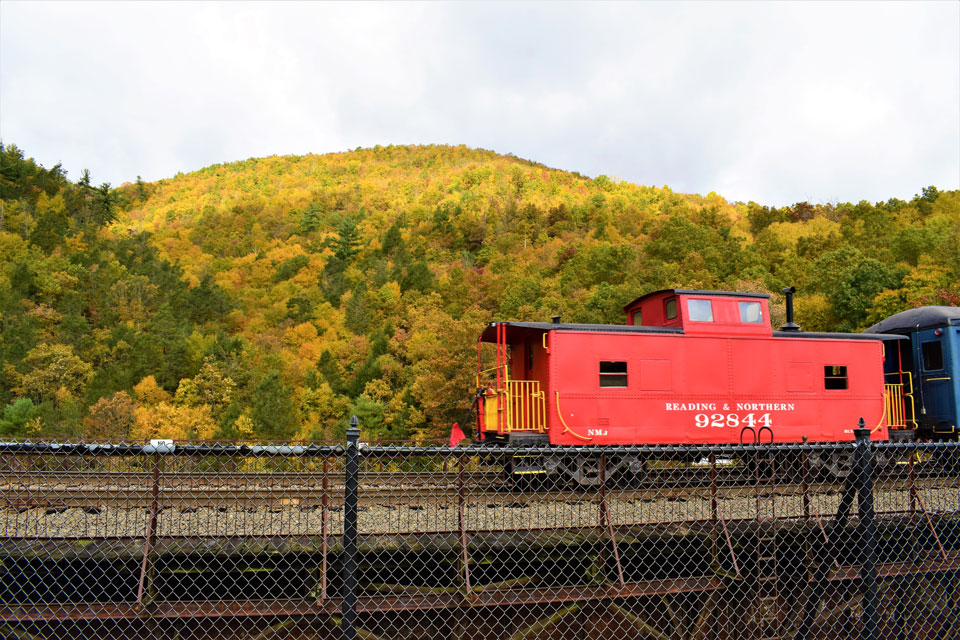 Train Driving thru Fall Foliage