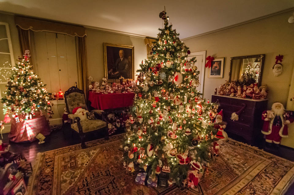 Christmas Tree decorated with lights