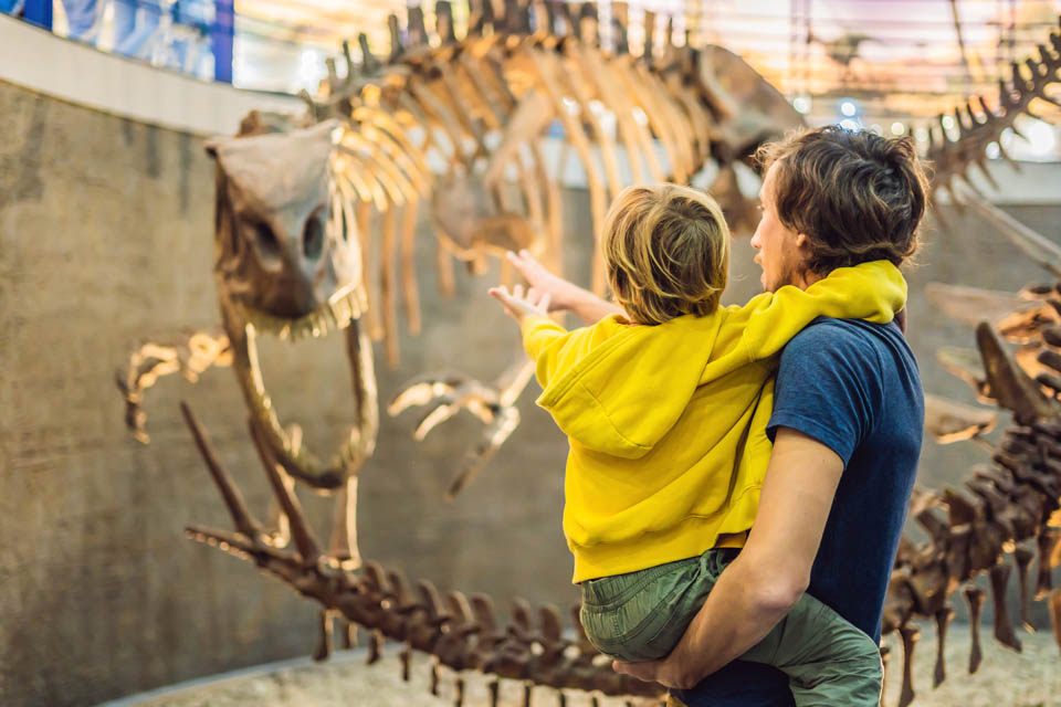 father son looking at Dinosaur fossil in a museum