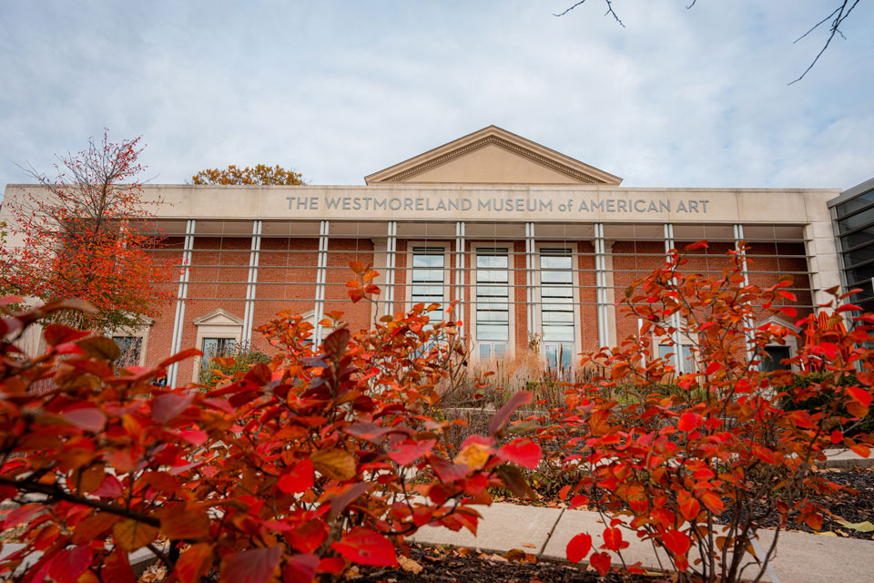 foliage infront of Museum building