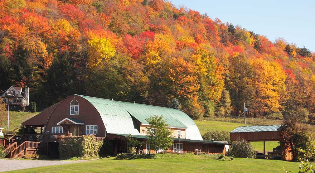 Farm Stay with beautiful Foliage