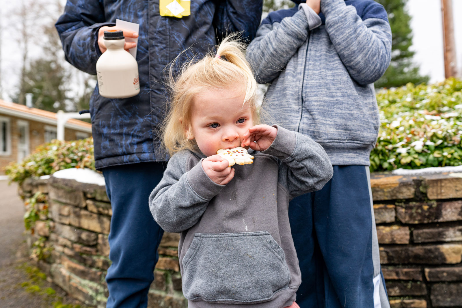 little girl eating a cookie