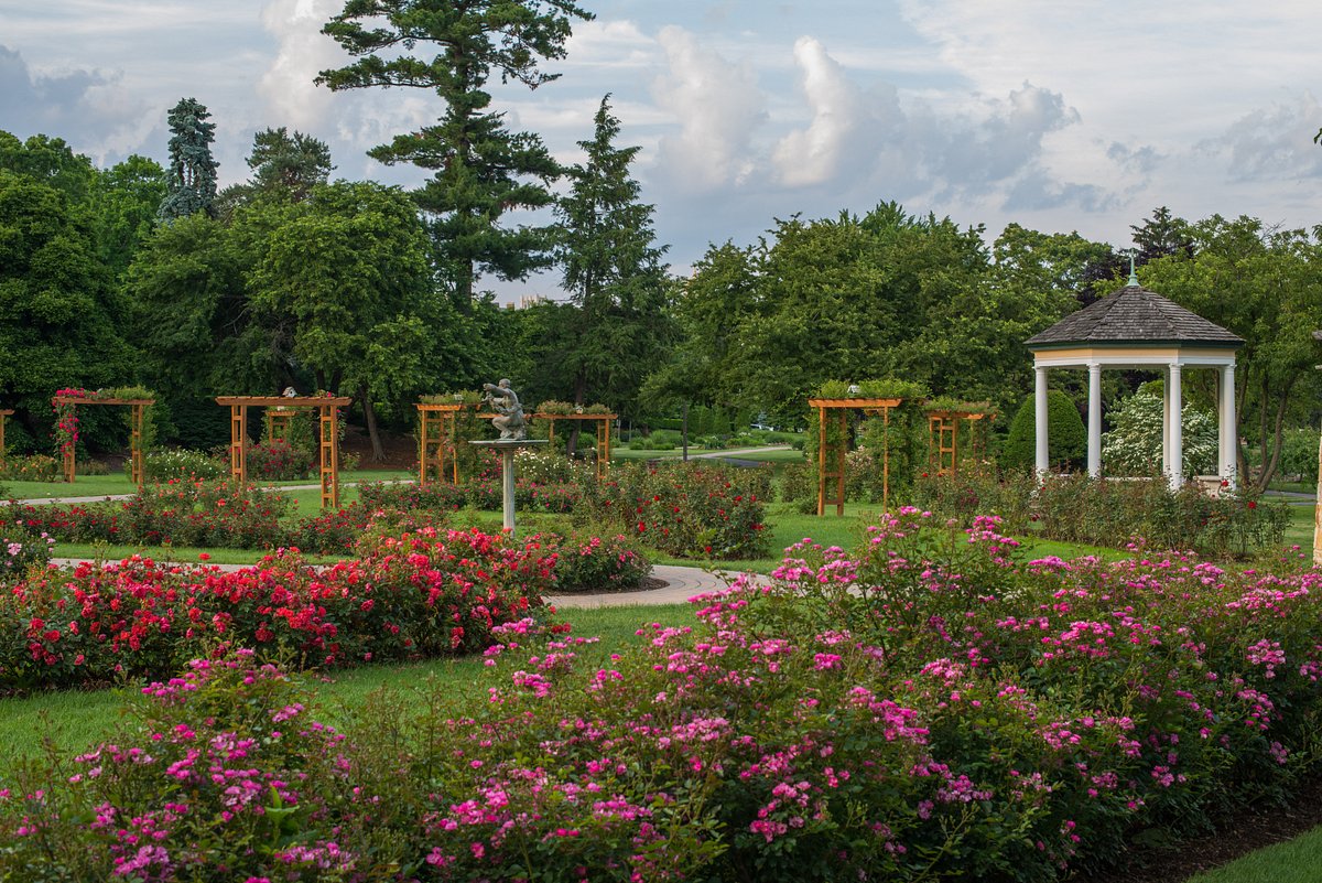 Rose Garden