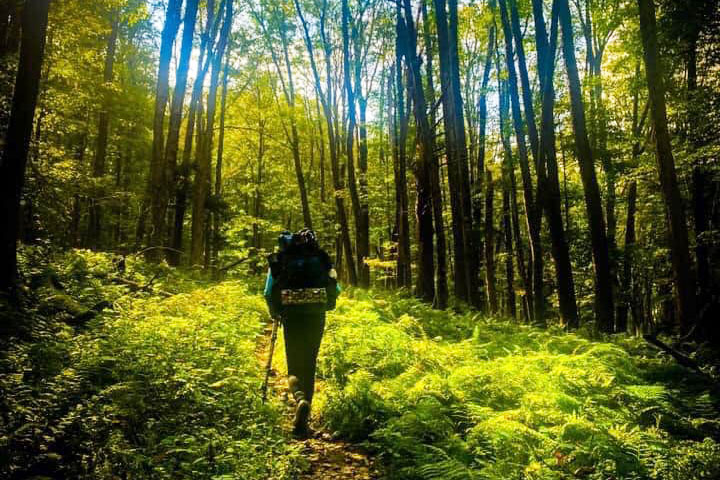 a person trekking trails with gear on in the woods