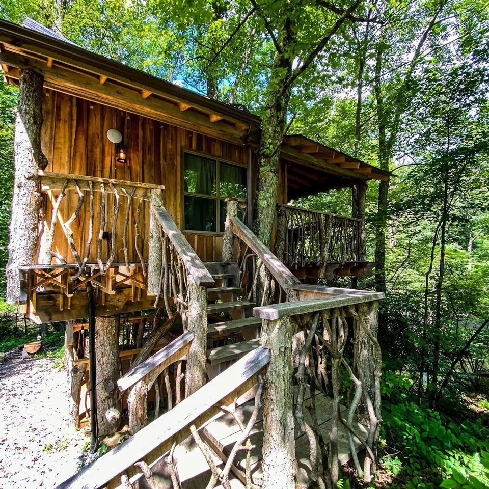 tree house in the woods