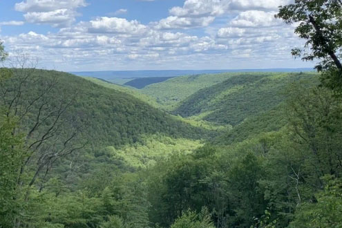 View of beautiful mountains covered with green trees from Overlook