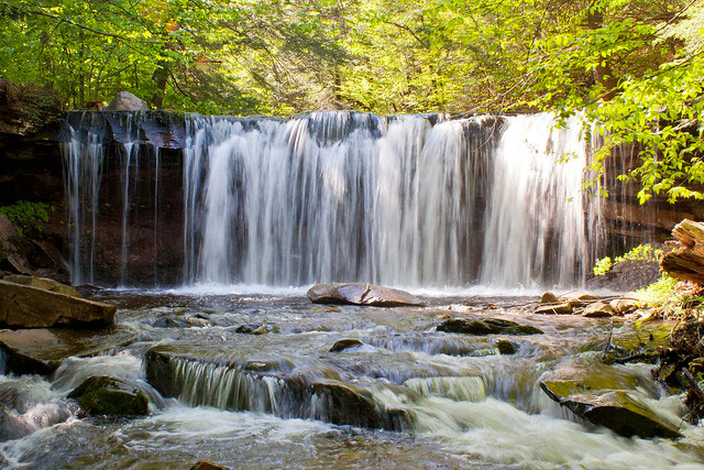 A small waterfall in the forest