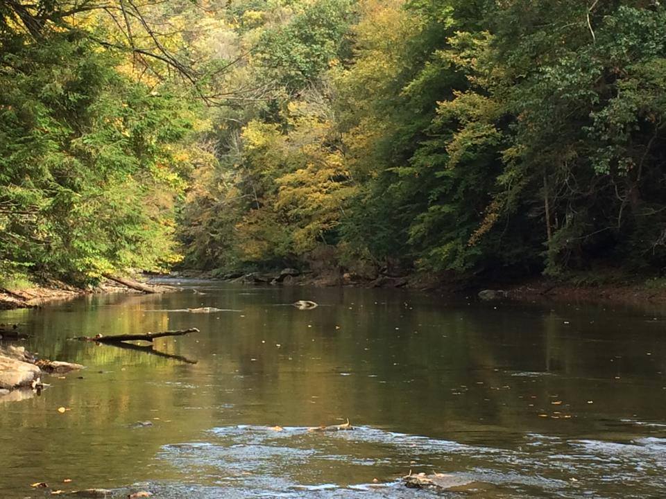 Slippery Rock Creek McConnells Mill State Park FB