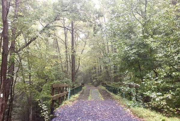 gravel trail in the woods