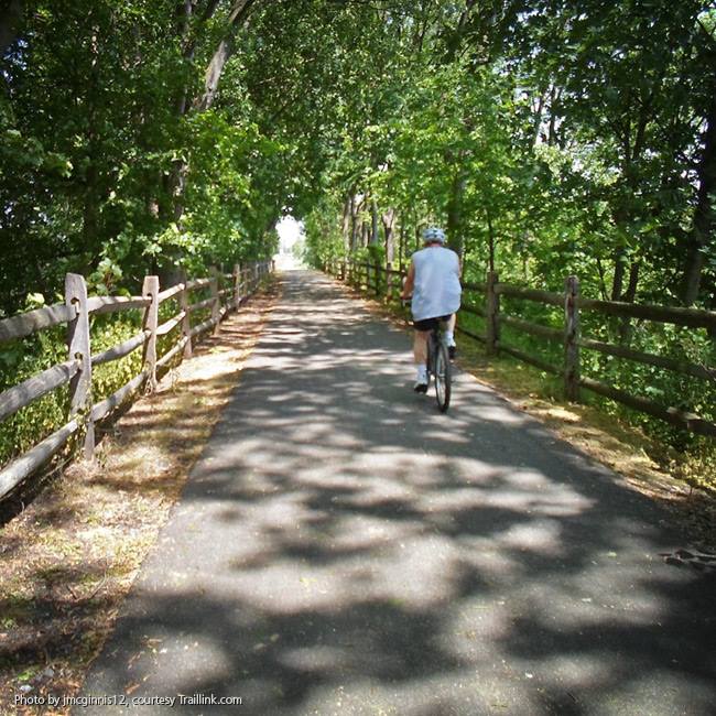 a person biking on trail