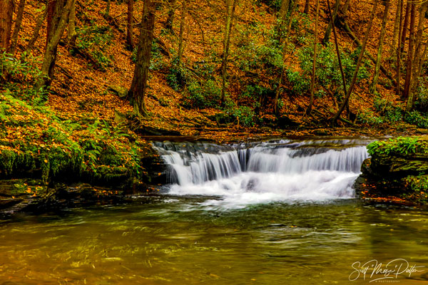 waterfall with foliage around