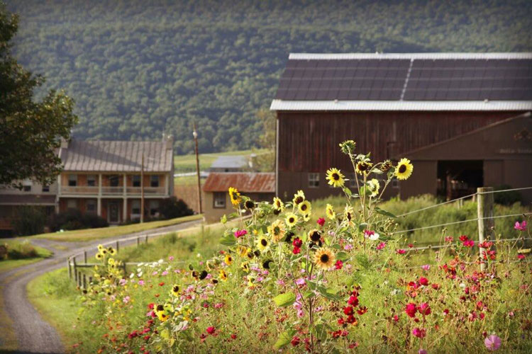 beautiful house with flowers in front