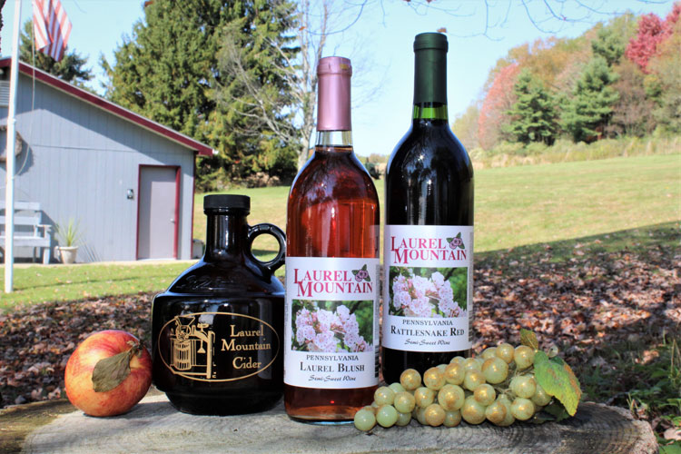 An Apple and a bunch of grapes placed on log with Wine bottles