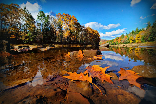 Fall Foliage near lake