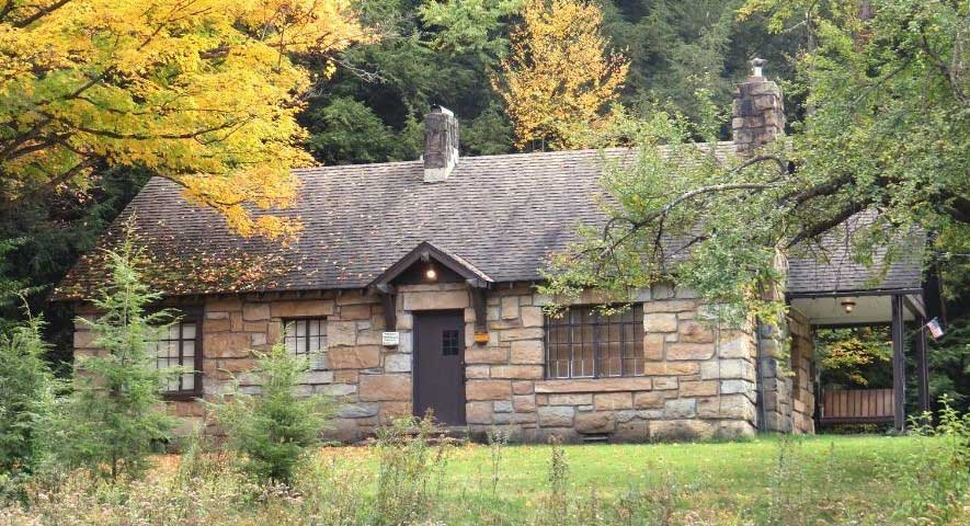 Cabin house in the woods