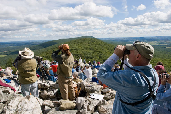 Hawk Mountain