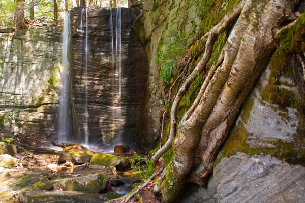 Hector Run Falls