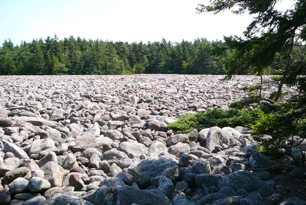 Hickory Run State Park