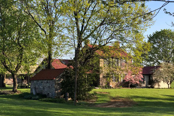 house in between trees