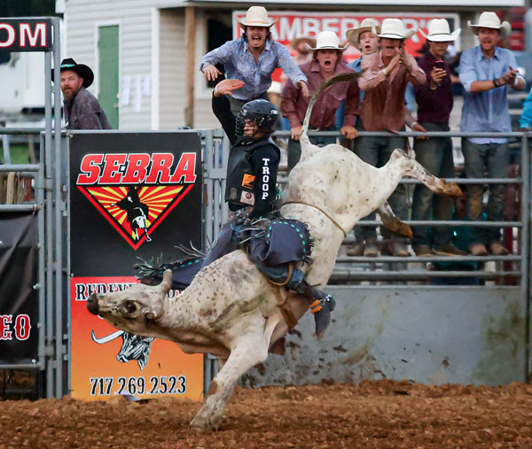 cowboys watching cow rodeo