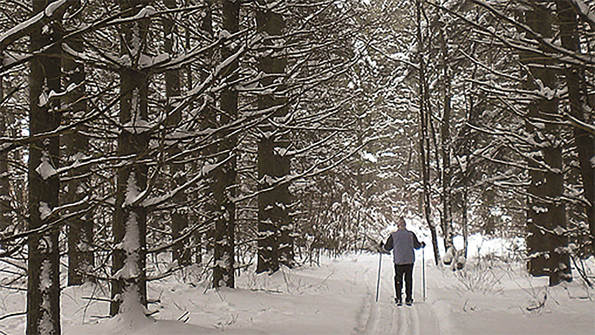 Woman cross country skiing