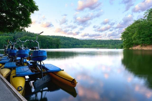 paddle boats by lake