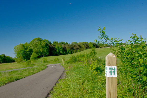 Trail marker by Trail road