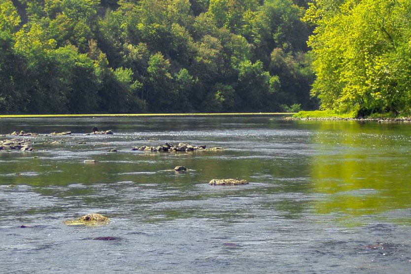 river stream