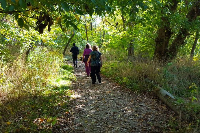 group of people hiking on trail