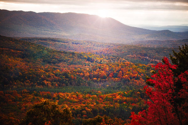 Rothrock State Forest foliage