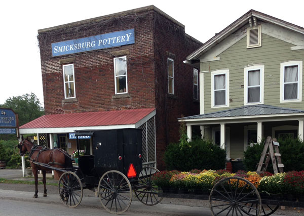 horse buggy