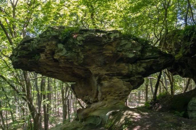 umbrella rocks