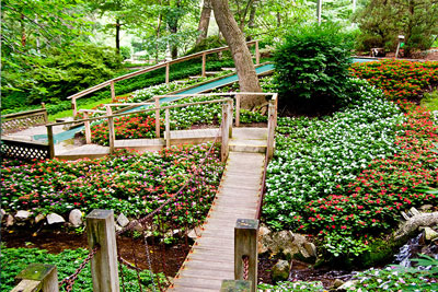 Mini Golf in between beautiful garden