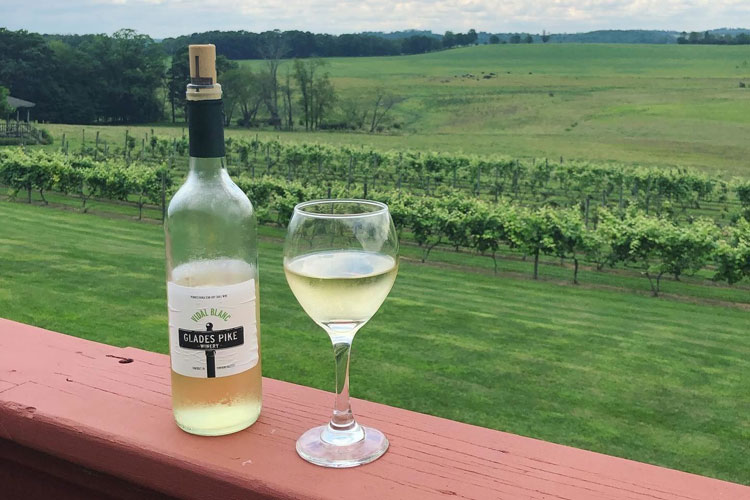 Glades Pike Wine poured in a glass next to bottle placed on deck