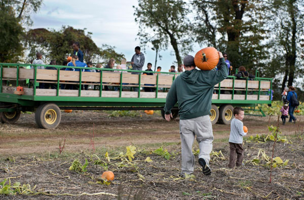 Father son duo carrying pumpkins and walking towards Hay wagon