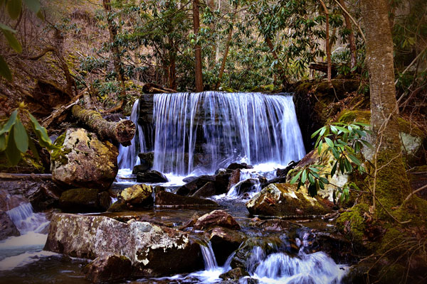 Waterfall in the woods