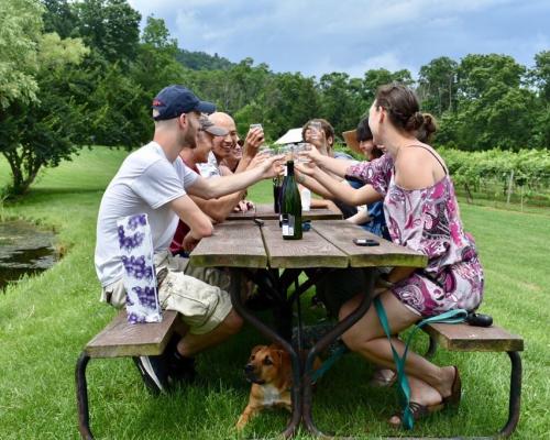 A group of friends enjoying wine at a picnic table outside at Mt. Nittany Vineyard and Winery in Pennsylvania