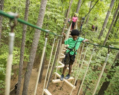 go ape treetops course