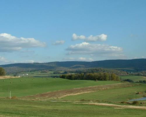 pasture in donegal