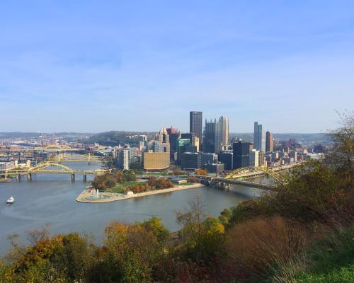 View from Mt. Washington