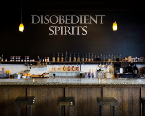 Disobedient Spirits