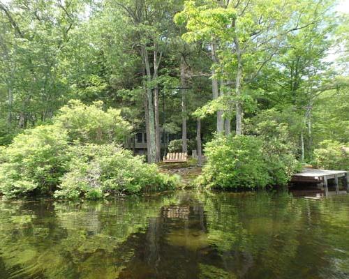 Delaware State Forest