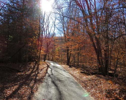 Hickory Run State Park