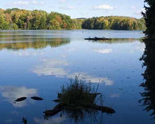 Hills Creek State Park