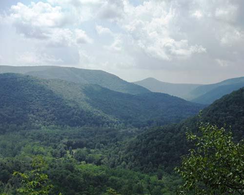 Loyalsock State Forest