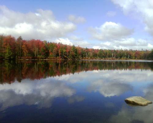 Loyalsock State Forest