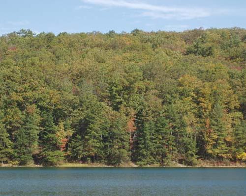 Michaux State Forest